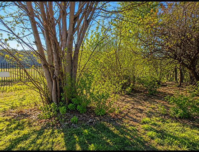 1,672M² VACANT LAND FOR SALE IN ROTHDENE
